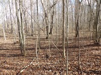 Creek ,Level, Paved Road Frontage : Evansville : Bledsoe County : Tennessee