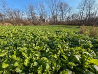 Homestead Rd 137 : New Concord : Muskingum County : Ohio