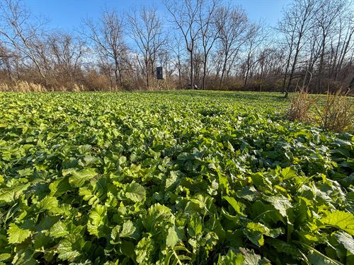 Homestead Rd 137 : New Concord : Muskingum County : Ohio