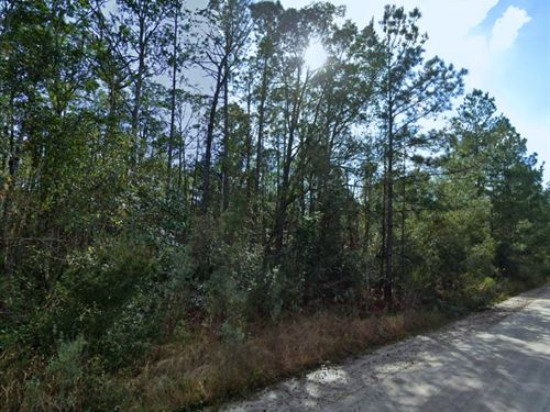 Private Retreat Mins to Palatka : Palatka : Putnam County : Florida