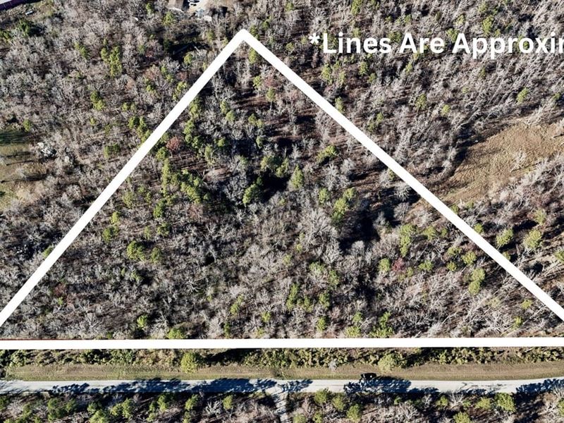 8 Wooded Acres for Sale in Carte : Grandin : Carter County : Missouri