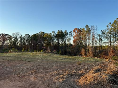 20.98 Acres, Germanys Ferry Road : Daviston : Tallapoosa County : Alabama