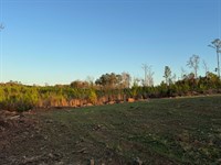 20.98 Acres, Germanys Ferry Road : Daviston : Tallapoosa County : Alabama