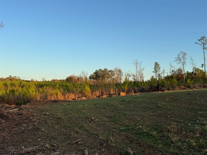 20.98 Acres, Germanys Ferry Road : Daviston : Tallapoosa County : Alabama