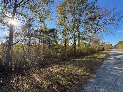 13.35 Acres, Germany's Ferry Road : Daviston : Tallapoosa County : Alabama