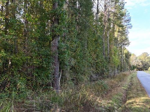 4 Acre Homesite in Simpson County : Braxton : Simpson County : Mississippi