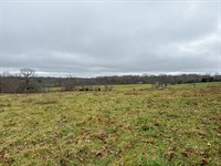 Wright County Missouri Farm : Mansfield : Wright County : Missouri