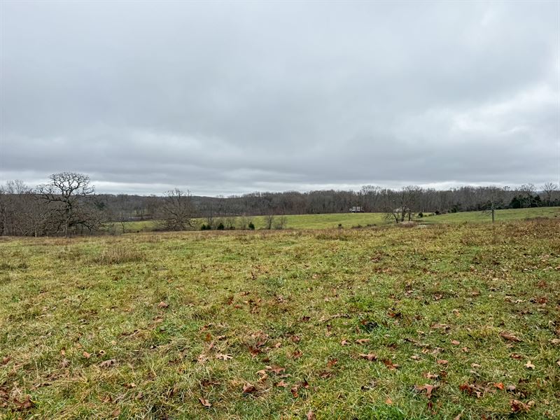 Wright County Missouri Farm : Mansfield : Wright County : Missouri