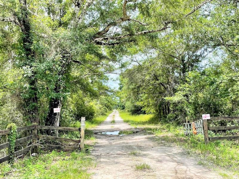 Highway 98 & Road 62 : Perry : Taylor County : Florida