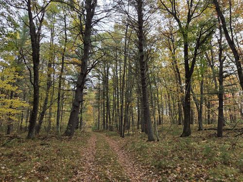 Stunning Woods & Privacy Amberg, WI : Beecher : Marinette County : Wisconsin