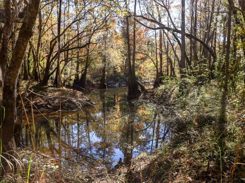 Lotts Creek Tract 4 : Statesboro : Bulloch County : Georgia