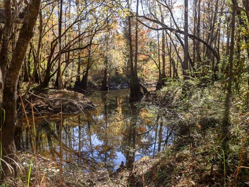 Lotts Creek Tract 4 : Statesboro : Bulloch County : Georgia