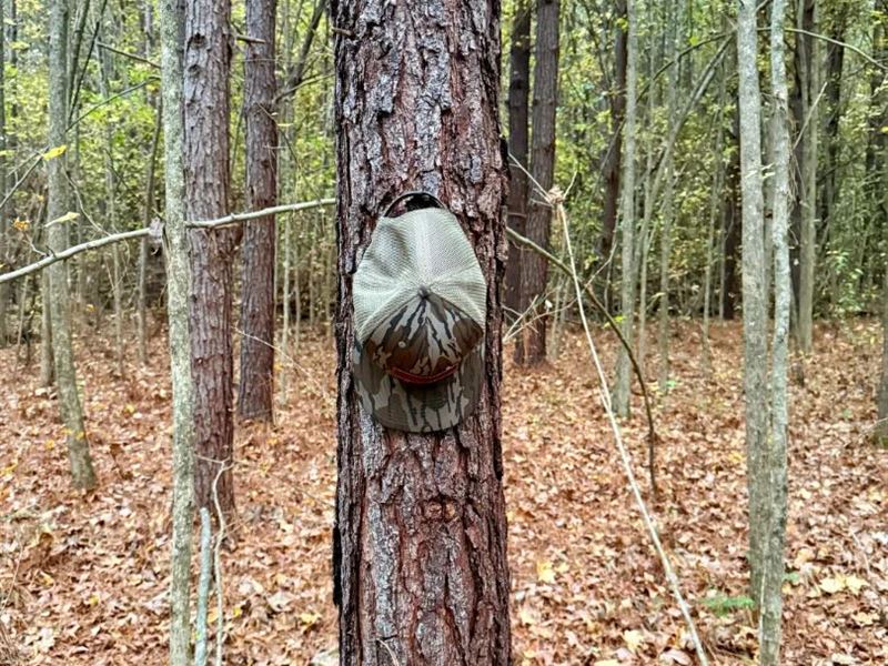 41.59 Acres in Calhoun County, MS : Bruce : Calhoun County : Mississippi