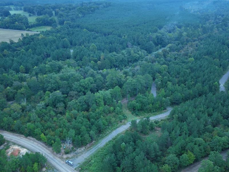 66 Acres in Leflore County, OK : Smithville : Le Flore County : Oklahoma