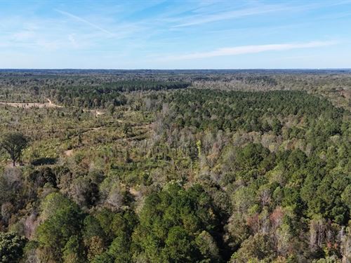 344 Acres in Neshoba County in Phil : Philadelphia : Neshoba County : Mississippi