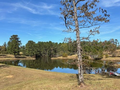 The Brooks Place : Lyons : Toombs County : Georgia