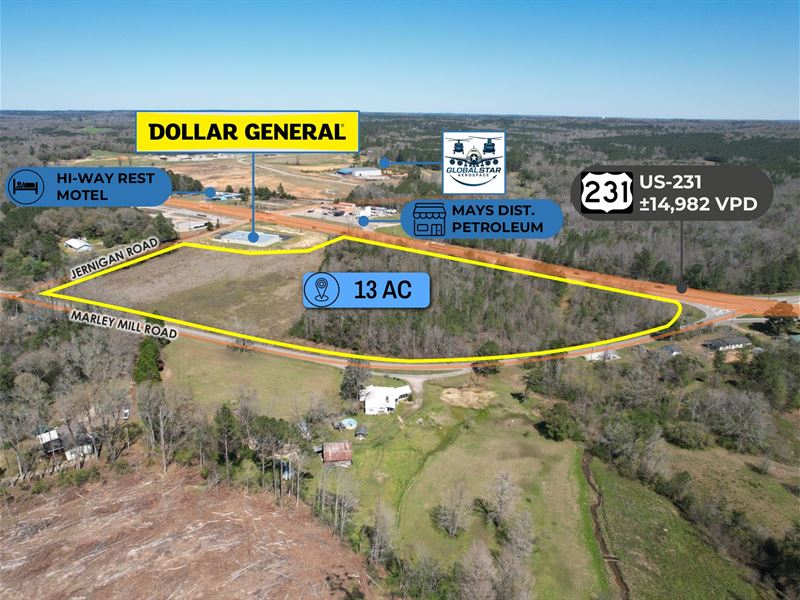 13 Acre Parcel, Dollar General Adj : Ozark : Dale County : Alabama