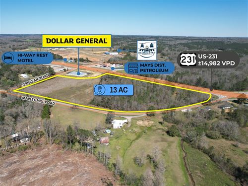 13 Acre Parcel, Dollar General Adj : Ozark : Dale County : Alabama
