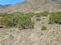 Mountain Trails Await You : Belen : Valencia County : New Mexico