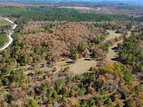 80 Acres Garland Co Arkansas : Jessieville : Garland County : Arkansas