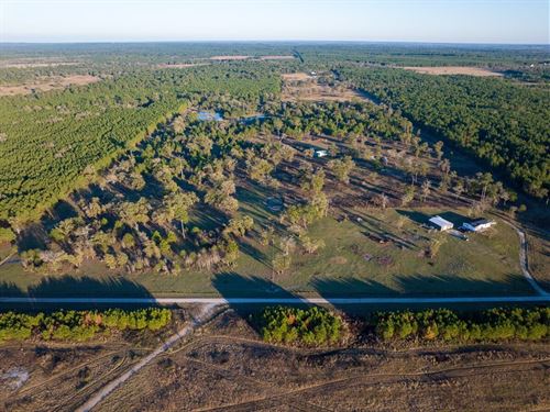33 Acres, 82B Ron Walker Lane : Bedias : Walker County : Texas