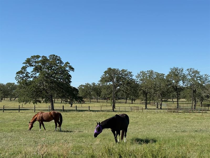 4.8 Scenic Acres : Stockdale : Wilson County : Texas