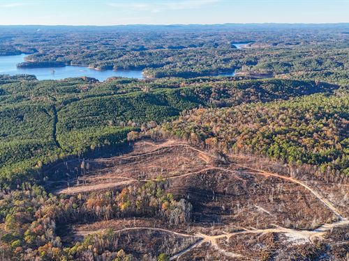 55 Acres Near Lake Martin, Tallap : Jacksons Gap : Tallapoosa County : Alabama