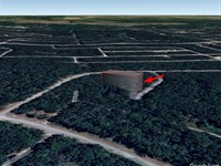 Citrus County Wooded Lot $400/Mo : Dunnelon : Citrus County : Florida