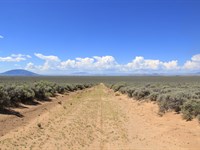 Rvers & Overlanders Paradise : San Luis : Costilla County : Colorado