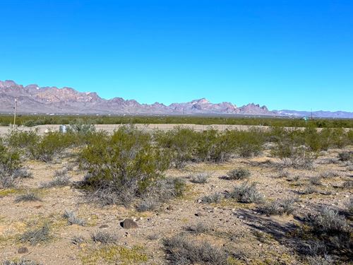 Prime Build Site Outside Kingman : Kingman : Mohave County : Arizona