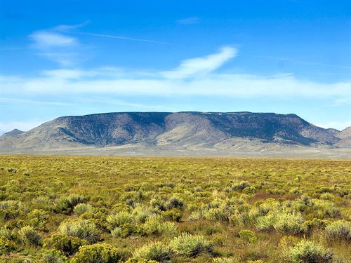 Corner Lot by Rio Grande River, CO : San Luis : Costilla County : Colorado