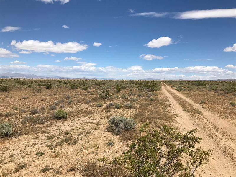 2.28 Acres in Kern County : Inyo Kern : Kern County : California