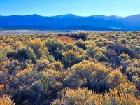 4.8 Acres of Colorado Freedom : San Luis : Costilla County : Colorado