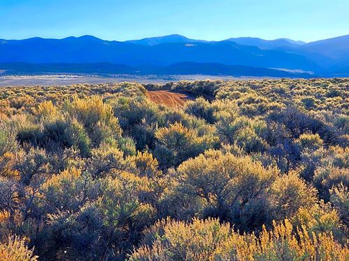 4.8 Acres of Colorado Freedom : San Luis : Costilla County : Colorado
