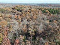 $79 Down Forest Escape : Horseshoe Bend : Izard County : Arkansas