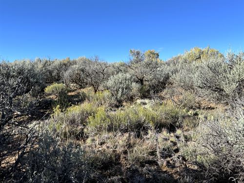 Er-Zoned Land with Camping Allowed : San Luis : Costilla County : Colorado