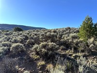 Er-Zoned Land with Camping Allowed : San Luis : Costilla County : Colorado