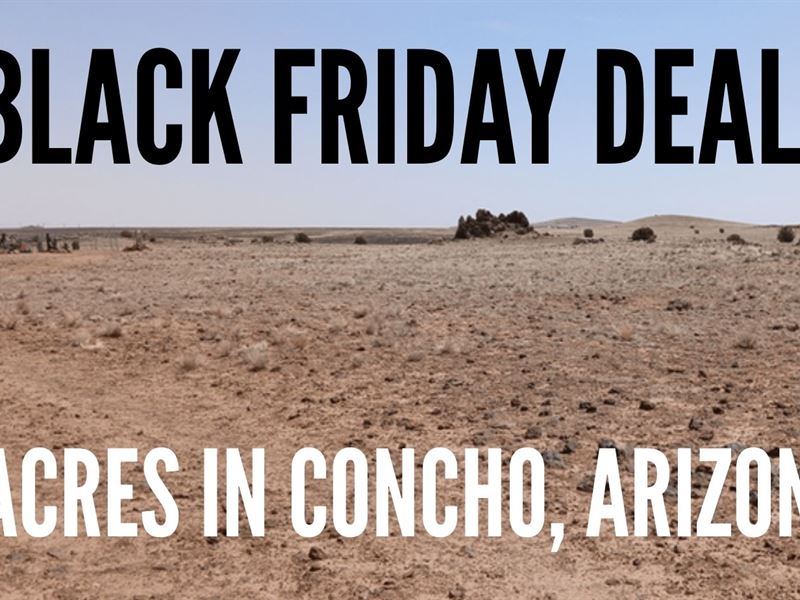 Black Friday Deal 3 Acres AZ Land : Concho : Apache County : Arizona