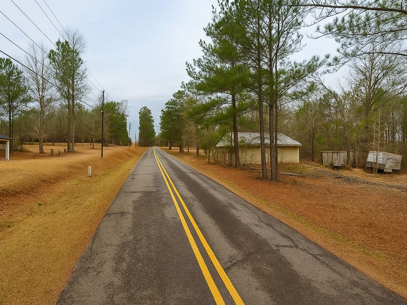 Prime 0.55 Acre Lot in Dadeville : Dadeville : Tallapoosa County : Alabama
