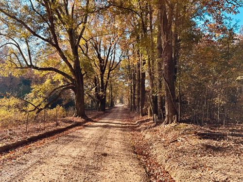 25.32 Acres in Yazoo County, MS : Bentonia : Yazoo County : Mississippi