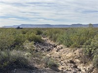 Off-Roading, Hiking, Camping, & Rvs : San Luis : Mohave County : Arizona
