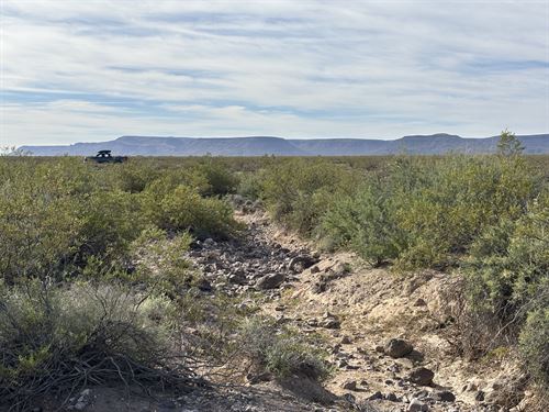 Off-Roading, Hiking, Camping, & RVs : San Luis : Mohave County : Arizona