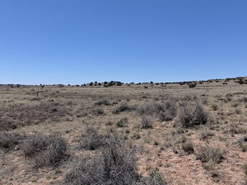 Peace, Tranquility, Freedom : Sanders : Apache County : Arizona