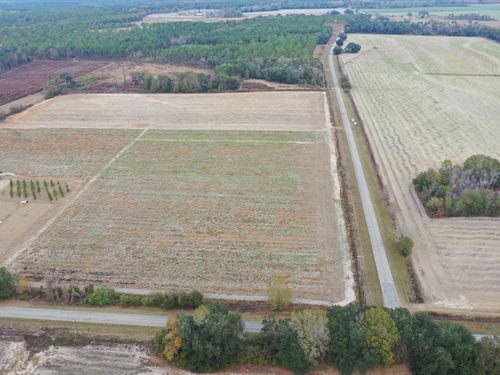 Corners Acres Tract : Whigham : Grady County : Georgia