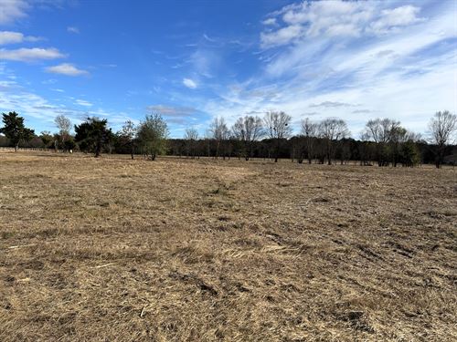 Private Unrestricted Land Near Ptx : Arthur City : Lamar County : Texas