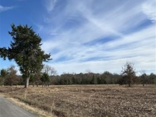 Private Unrestricted Land Near Ptx : Arthur City : Lamar County : Texas