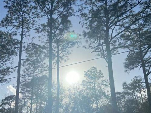 Introducing The Perfect Oasis : Dunnellon : Marion County : Florida