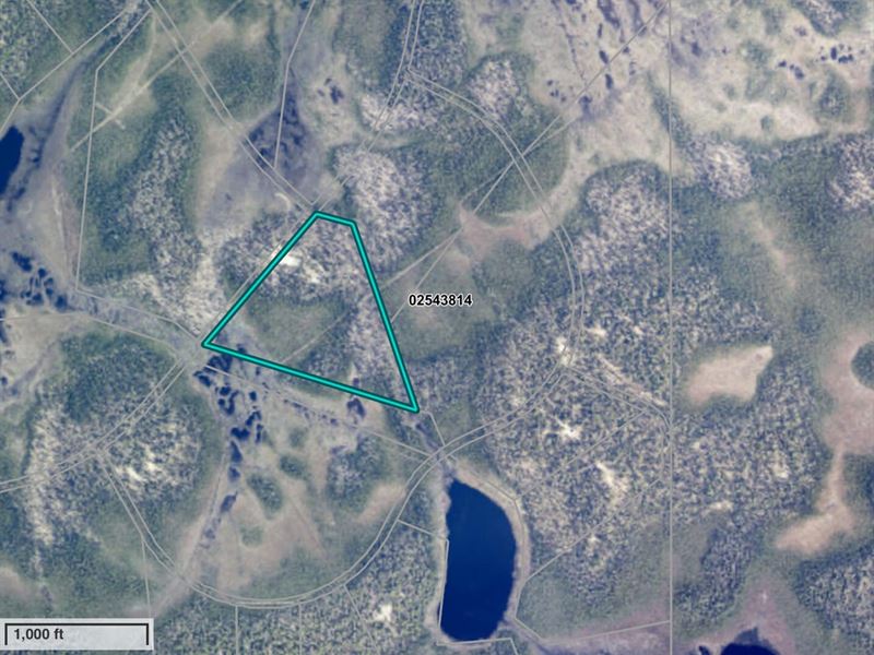 Remote Moose Point Area : Nikiski : Kenai Peninsula Borough : Alaska