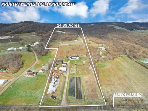 Seneca Lake Rd, 24 Acres : Quaker City : Noble County : Ohio