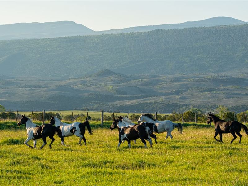 The Gates Ranch, Colorado Mountain : Burns : Eagle County : Colorado